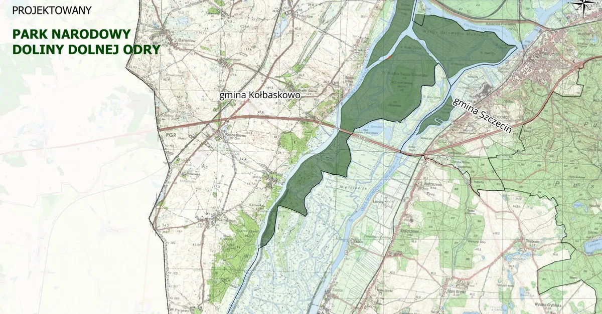 Wodny sen o potędze. Park Narodowy Doliny Dolnej Odry jego pierwszą ofiarą [KOMENTARZ]