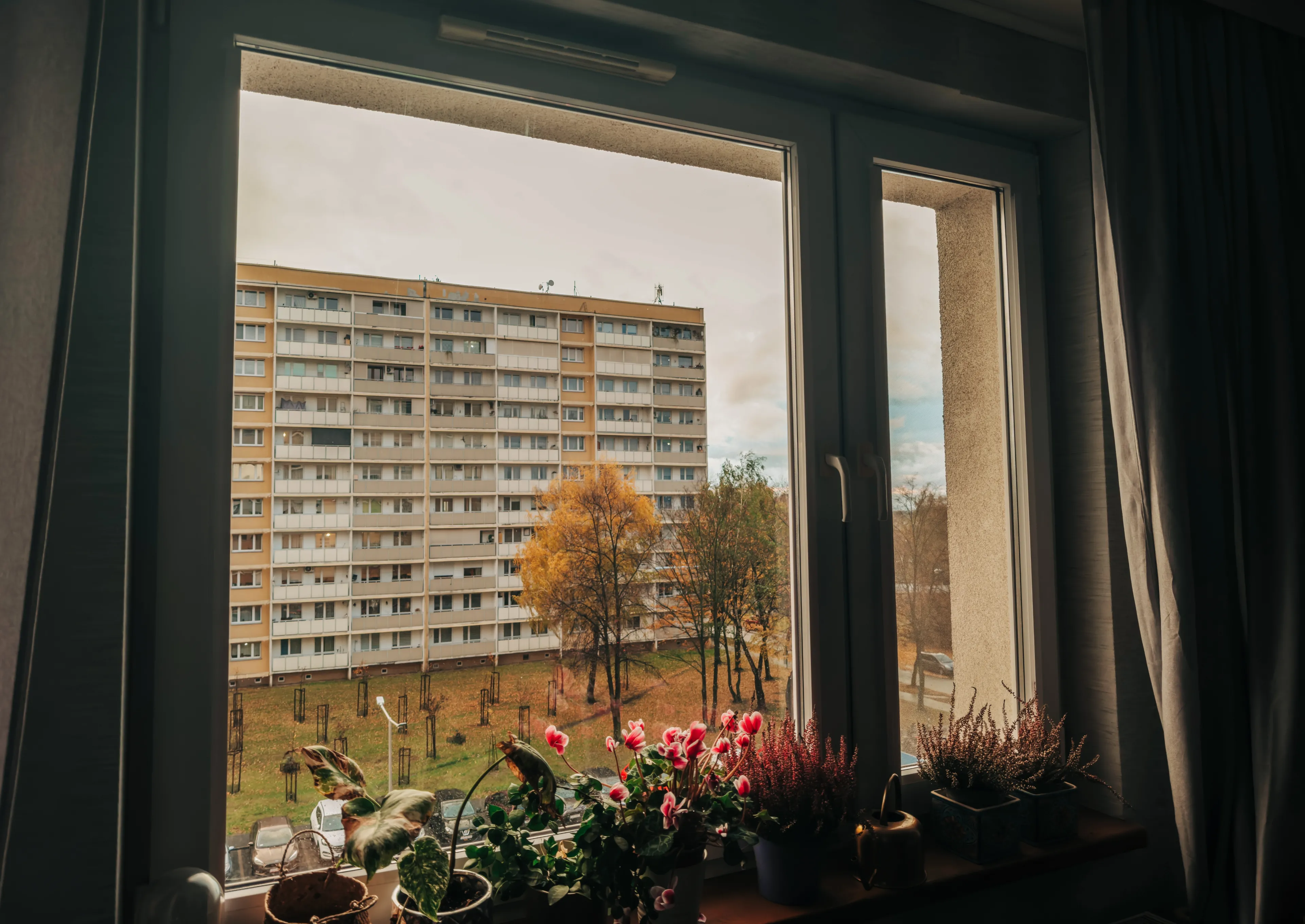 Ten nowy obowiązek dotyczy właścicieli domów i mieszkań. Jego niedopełnienie grozi grzywną sięgającą 5 tysięcy złotych. Zmiany od 30 czerwca. Litości nie będzie