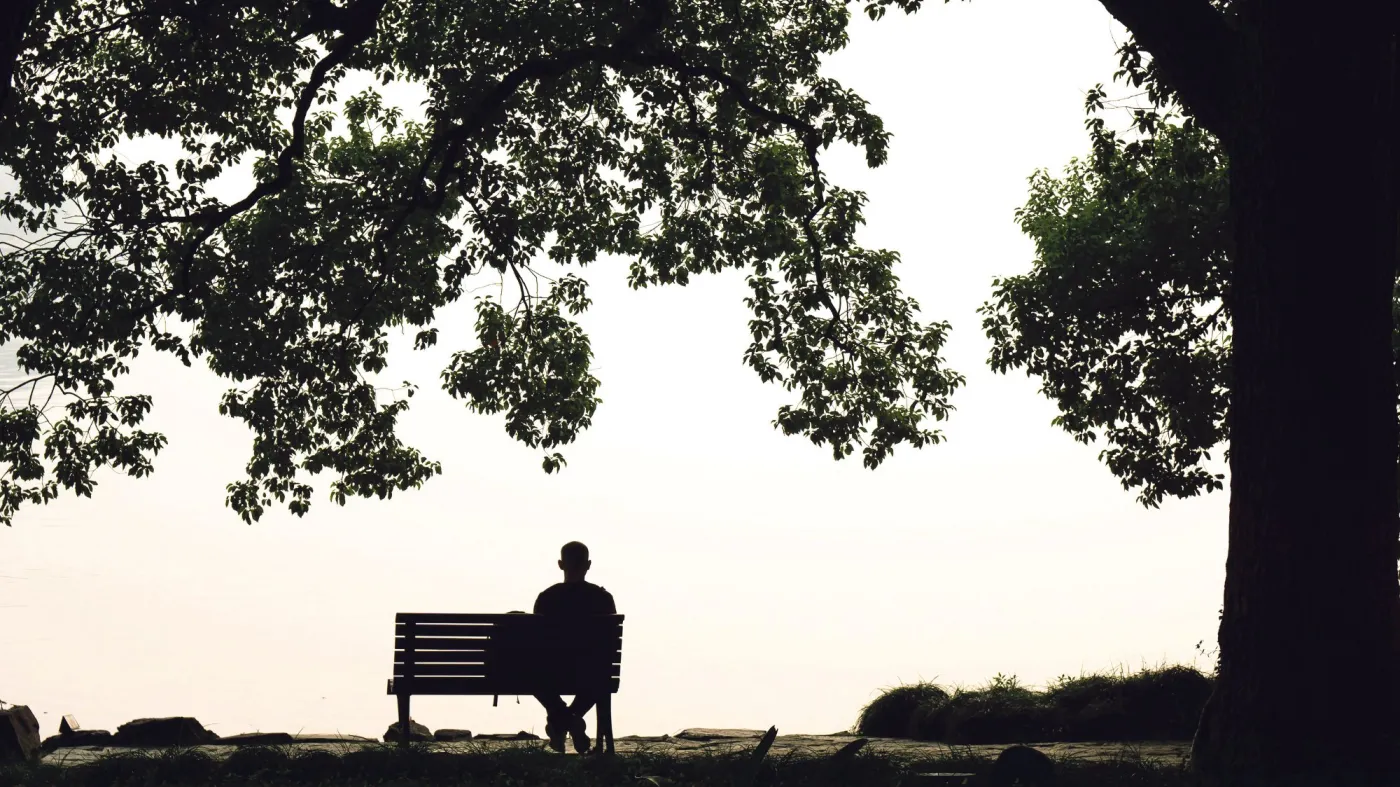 A,Man,Sits,On,A,Bench,On,The,Grass,Under