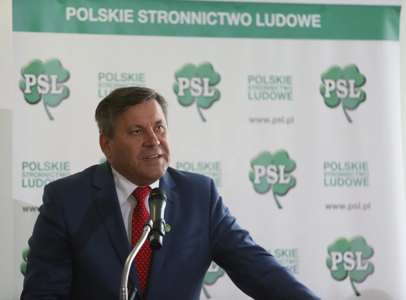 Kto chciał odwołania Piechocińskiego?