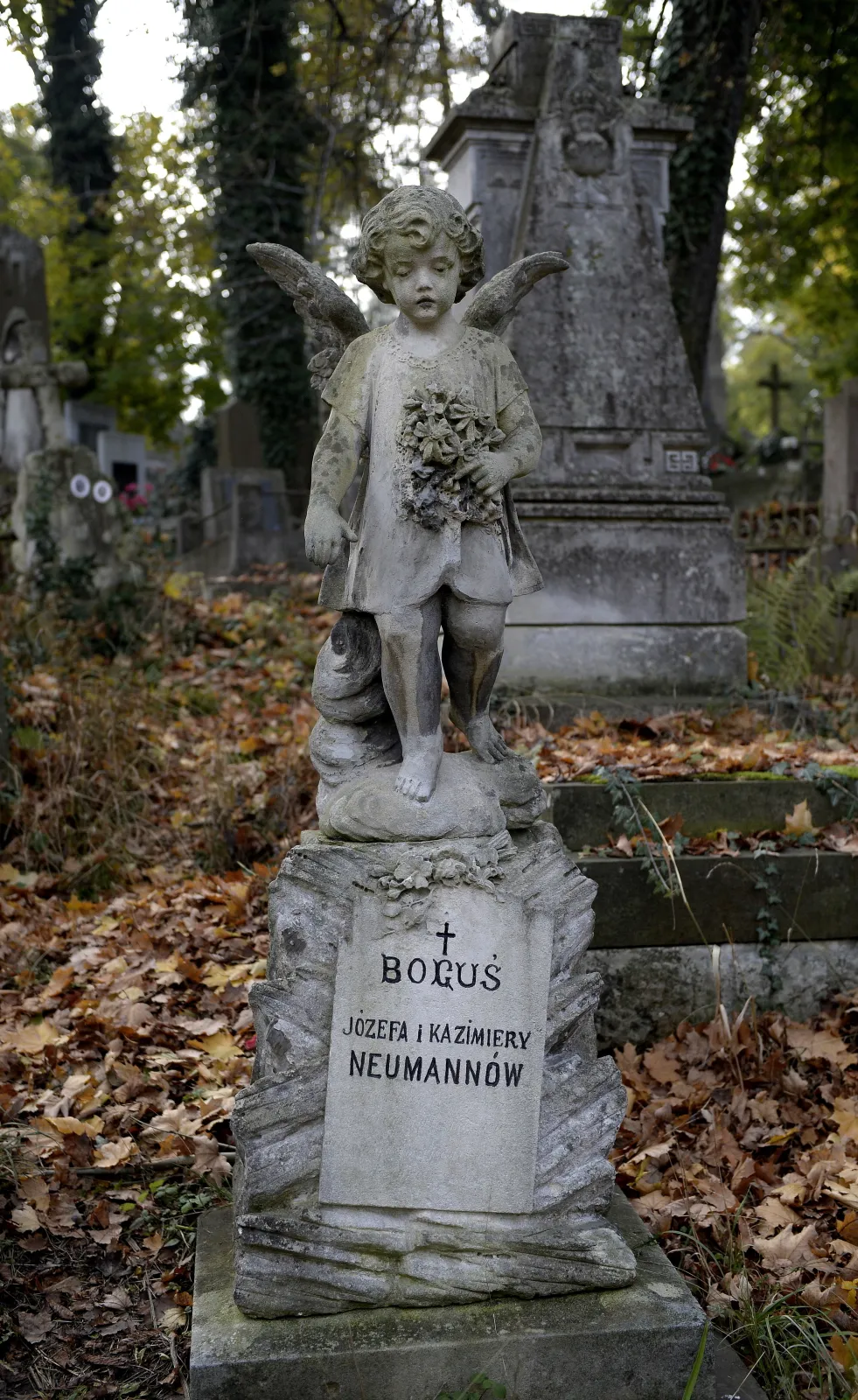 1974962-polskie-groby-na-cmentarzu-lyczakowskim.jpg