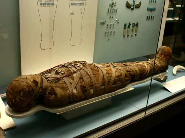 W starożytnej mumii odkryto pasożyta