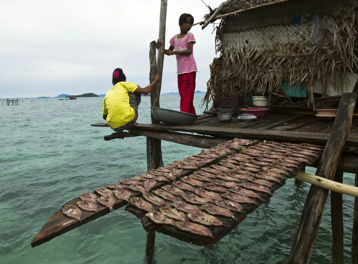 2315047-dziewczeta-bajau-pilnuja-suszacych.jpg