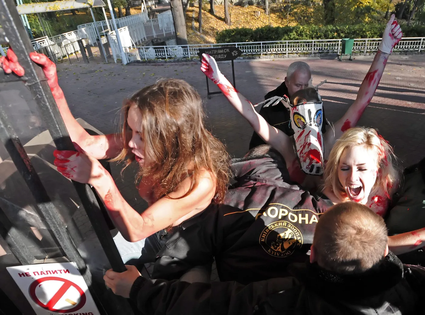 2662160-aktywistki-ruchu-femen-w-kijowskim.jpg