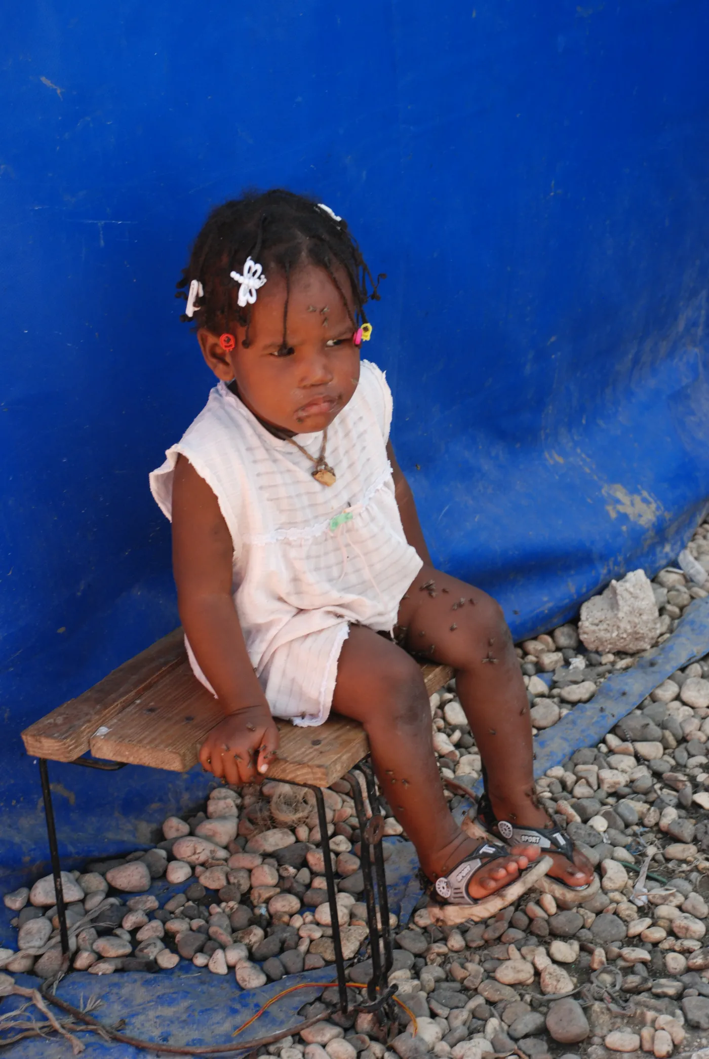 3666262-haiti.jpg