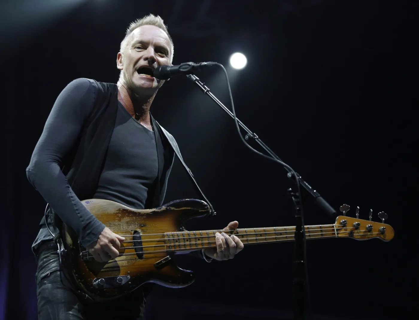 4391124-sting.jpg