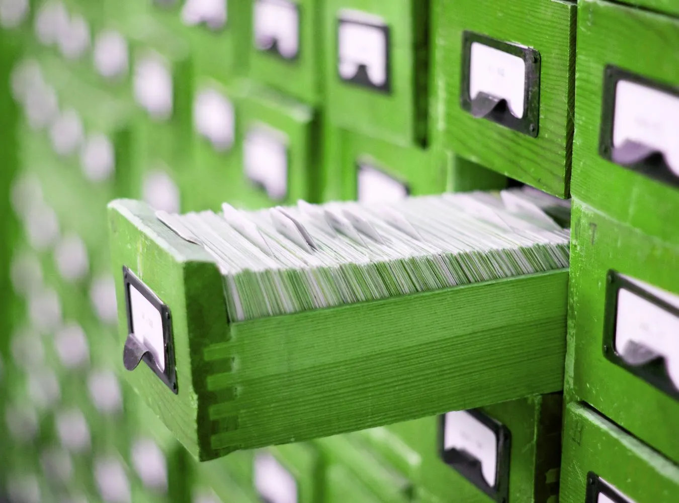 Pseudonim "Gaik"? Wiceminister podejrzewany przez IPN