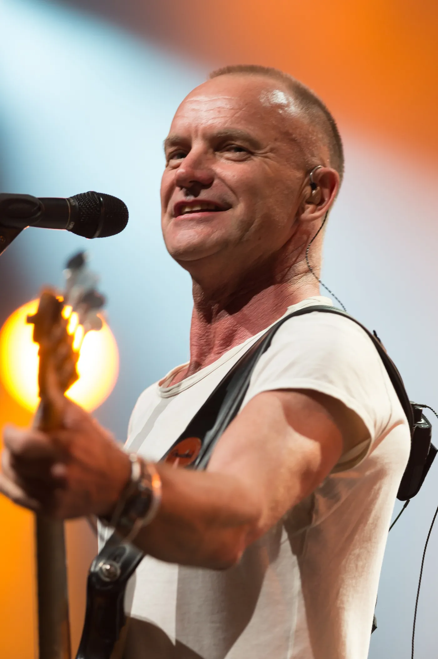 5447640-sting.jpg