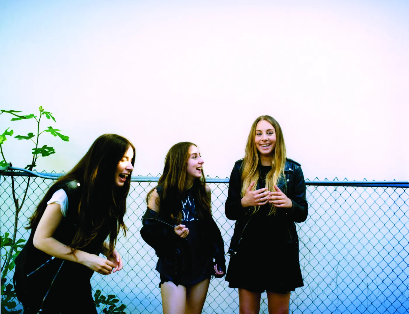 5456540-haim.jpg