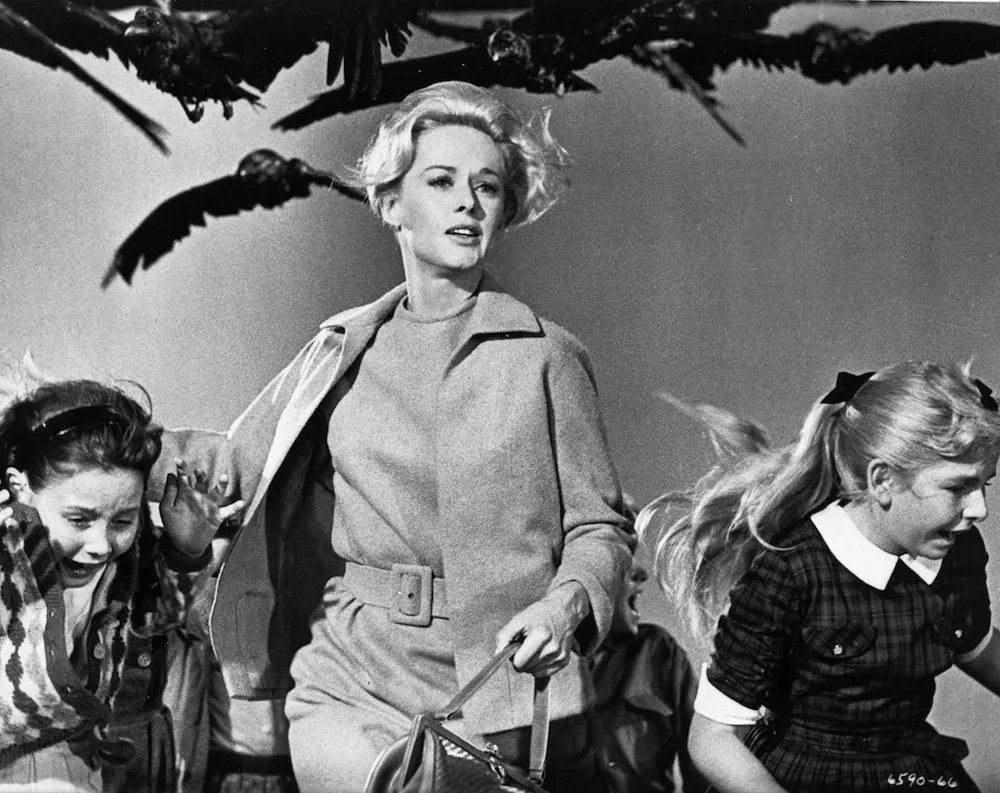 Kolejny głośny film nakręcony na nowo. Tym razem "Ptaki"