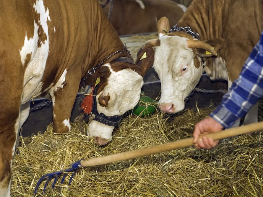 Spis powszechny: Miasto i wieś dzielą wielkie różnice