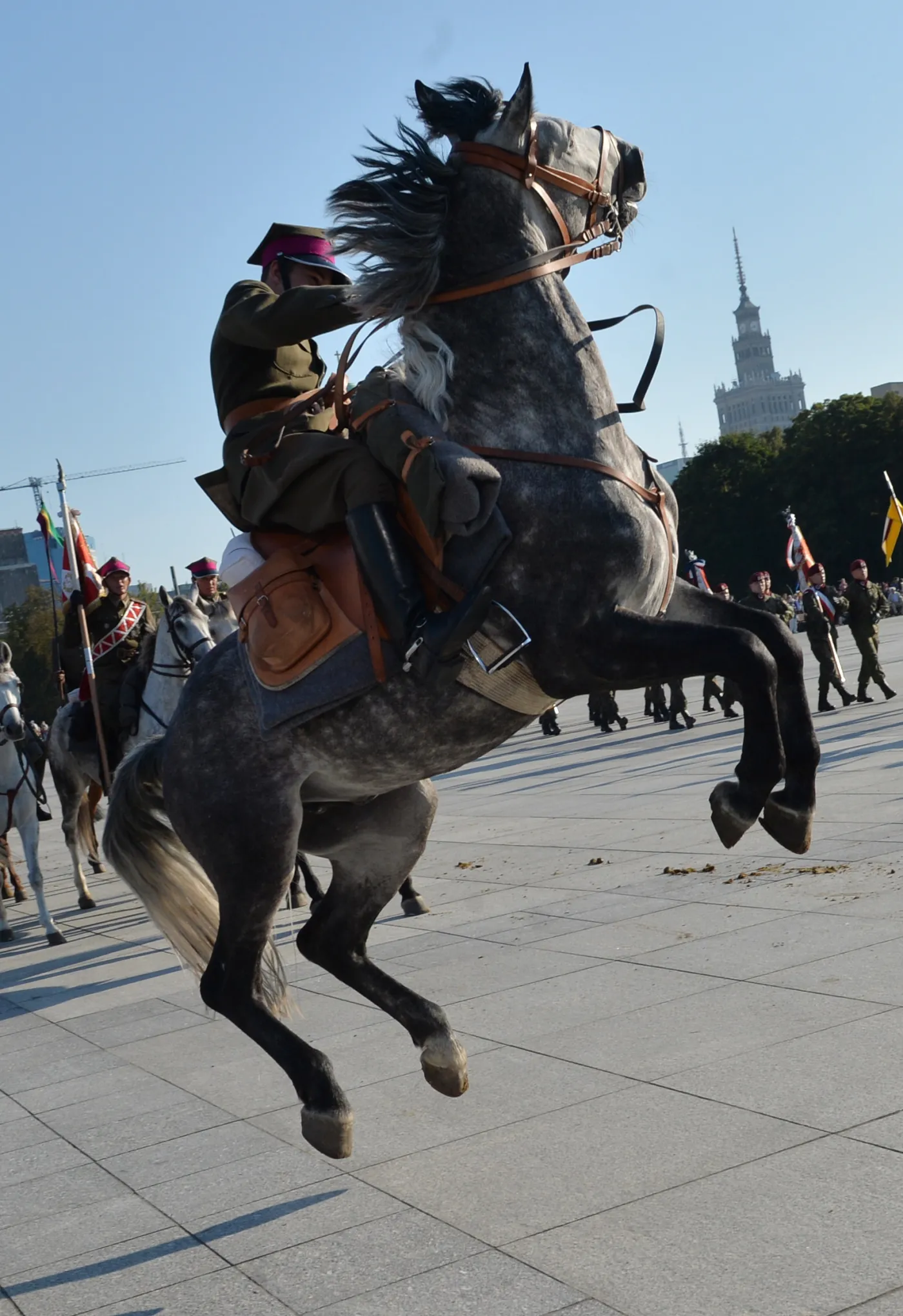 6768712-swieto-kawalerii-warszawa-kawaleria.jpg