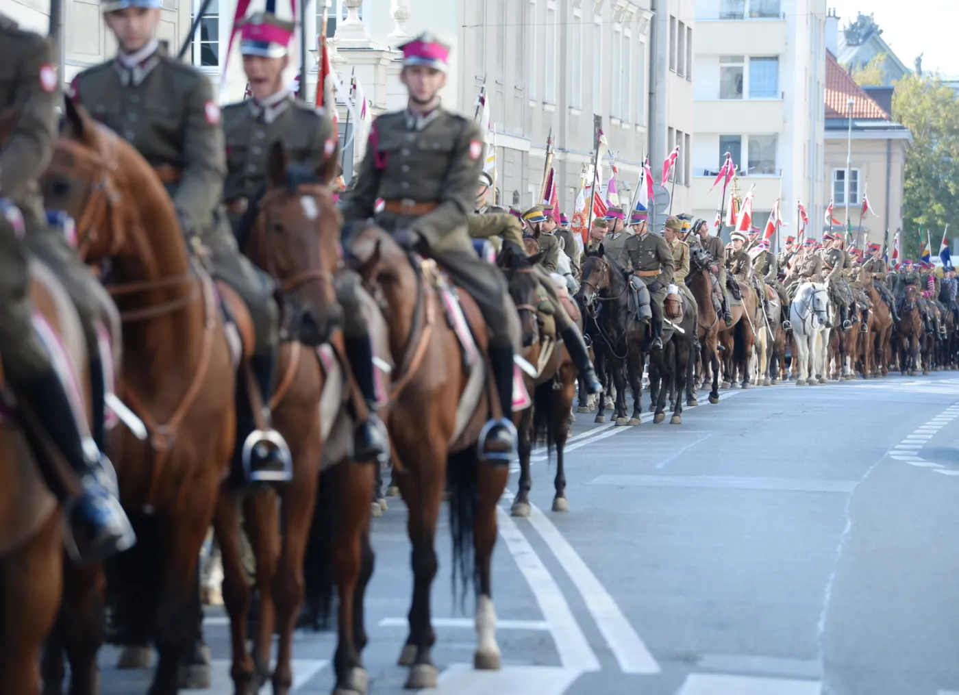 6768973-swieto-kawalerii-warszawa-kawaleria.jpg