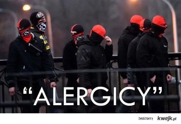 Alergicy w kominiarkach i ocalona tęcza. Memy po obchodach 11 listopada