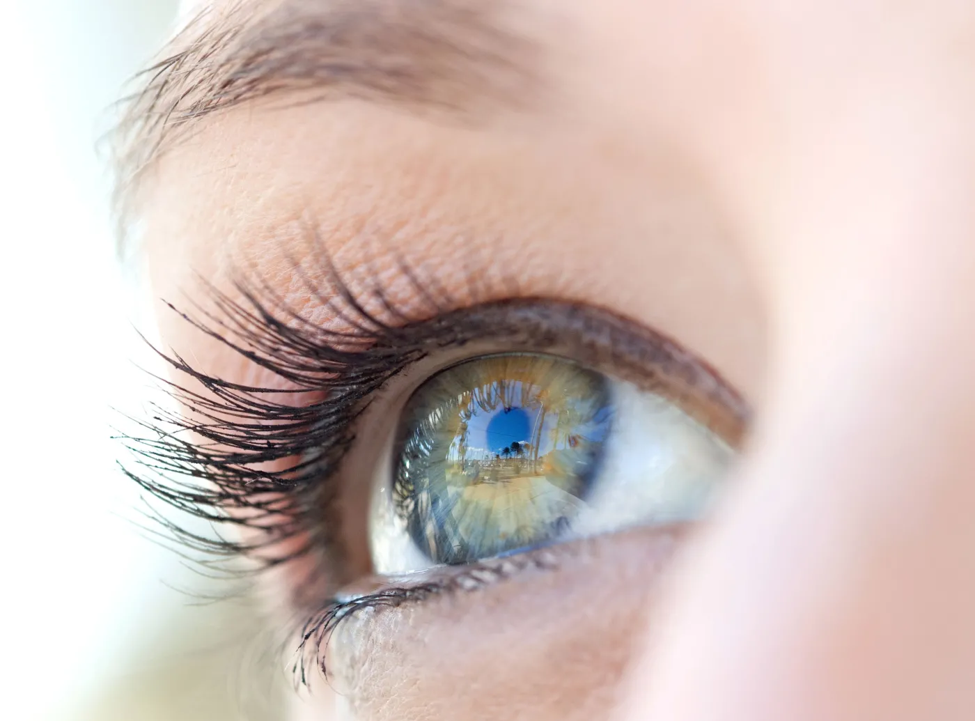 Dieta na zdrowy wzrok. Te produkty wzmocnią oczy