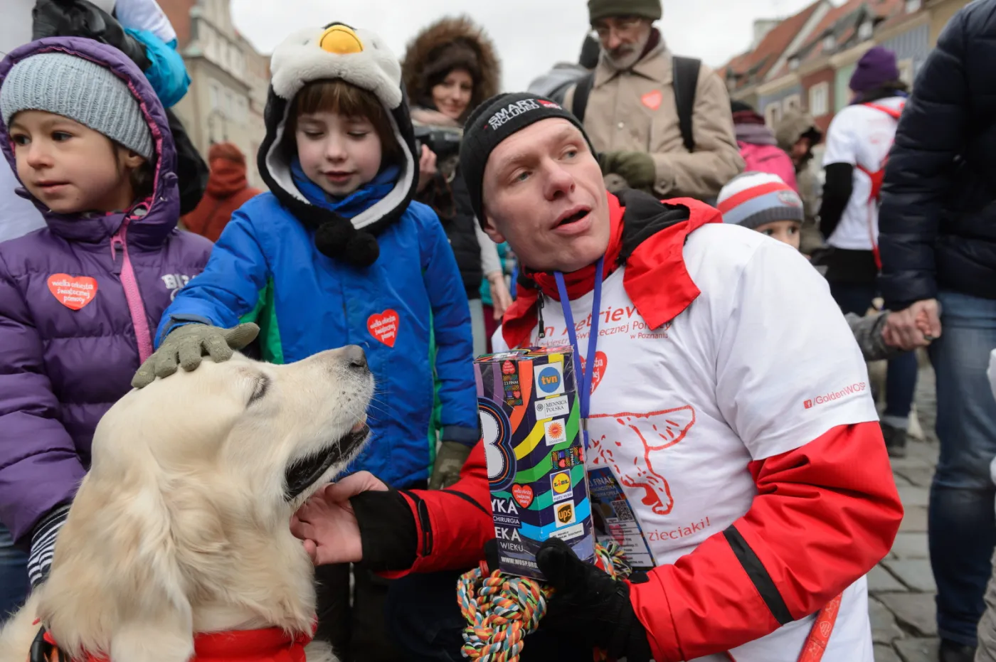 7289375-wosp-wlasciciele-golden-retrieverow.jpg