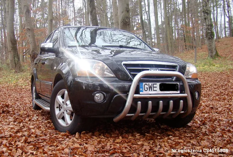 Tani i używany SUV? Oto największe przeboje polskich ogłoszeń. ZDJĘCIA