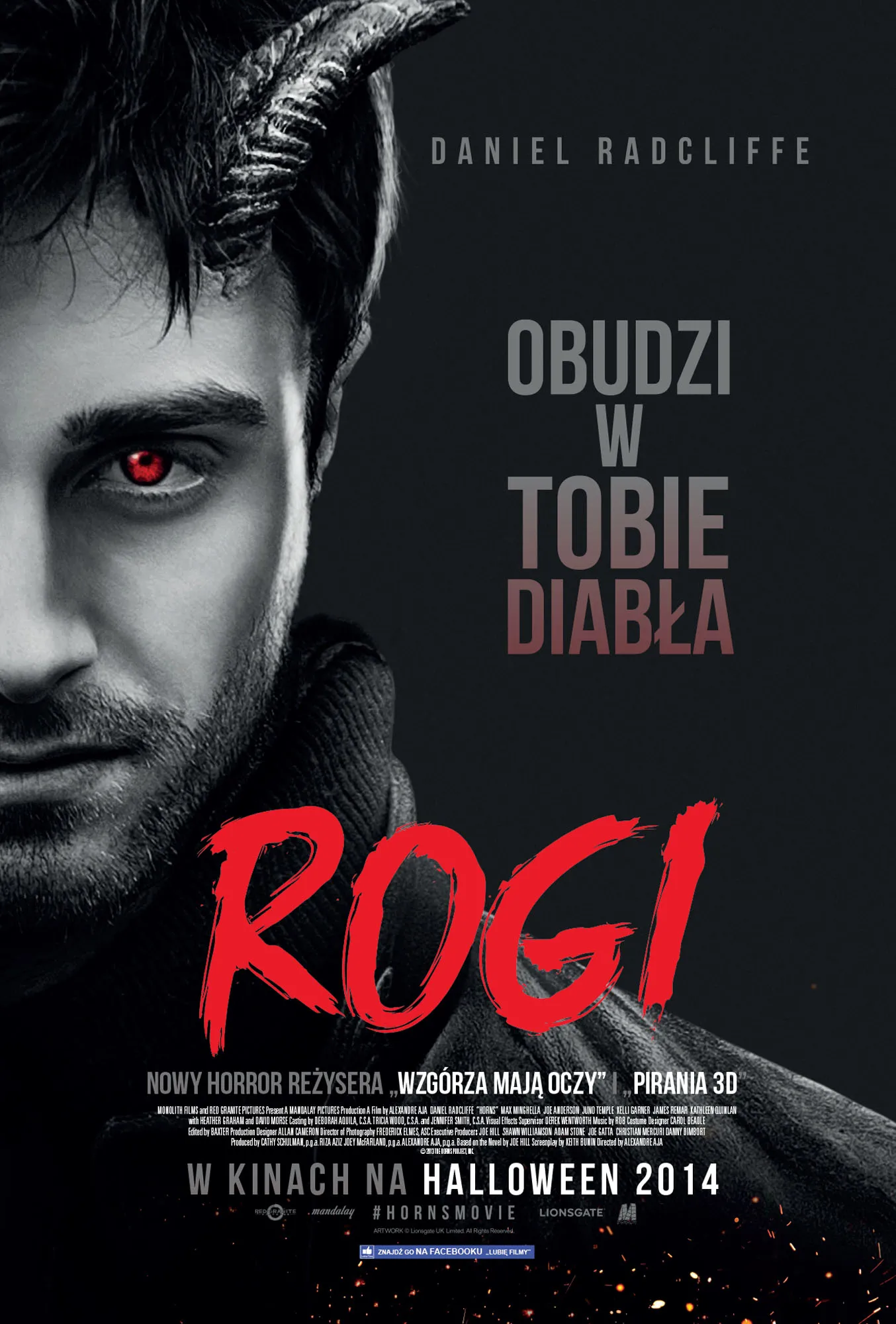 7004850-rogi.jpg