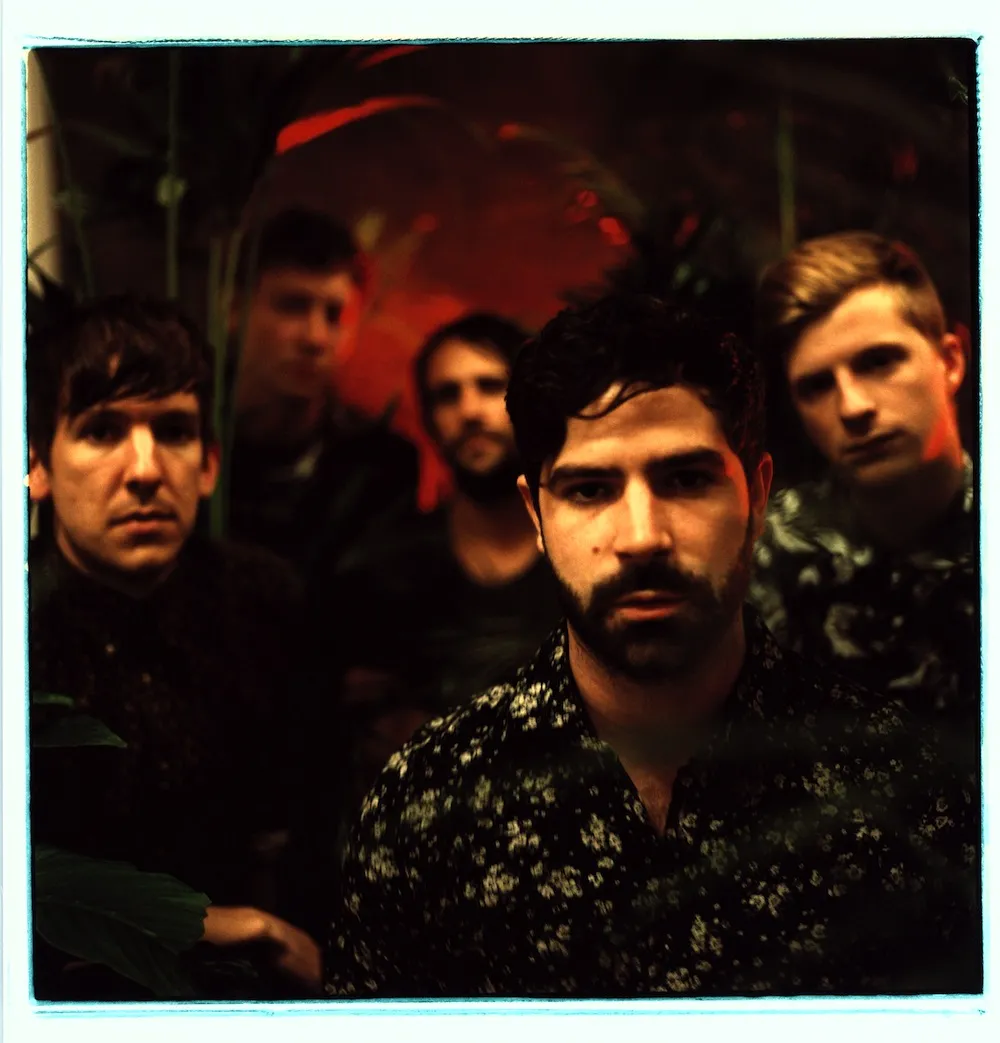 Foals