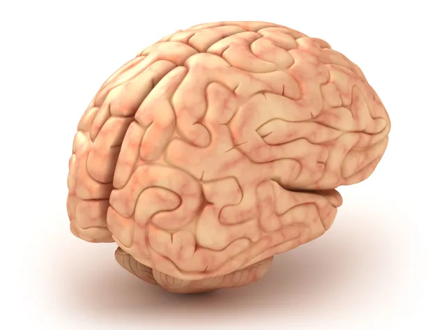 Osoby religijne mają inne mózgi. To naukowy fakt