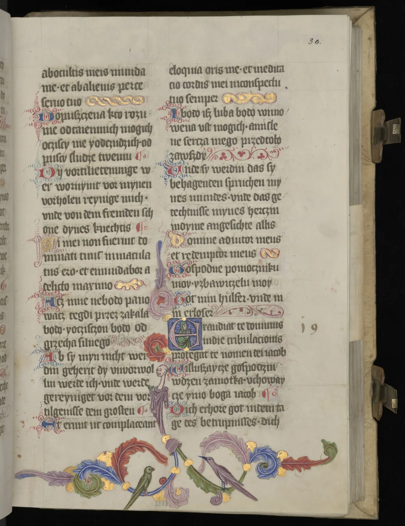 8965392-psalterz-florianski-i-jego-niezwykle.jpg