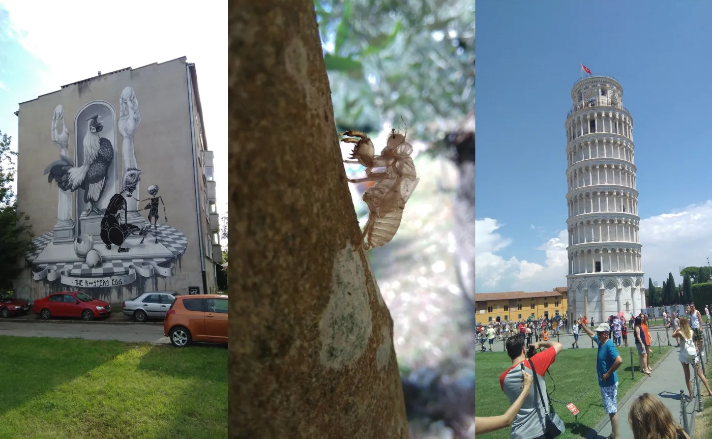 Zdjęcia wykonane telefonem Coolpad Torino