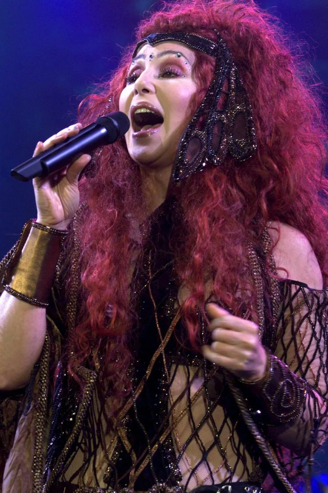 9042855-cher.jpg