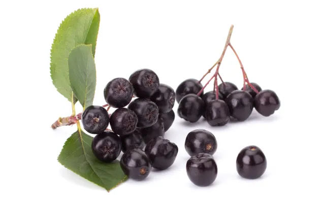 Aronia – lek na choroby cywilizacyjne. Do czego można dodawać sok z aronii?