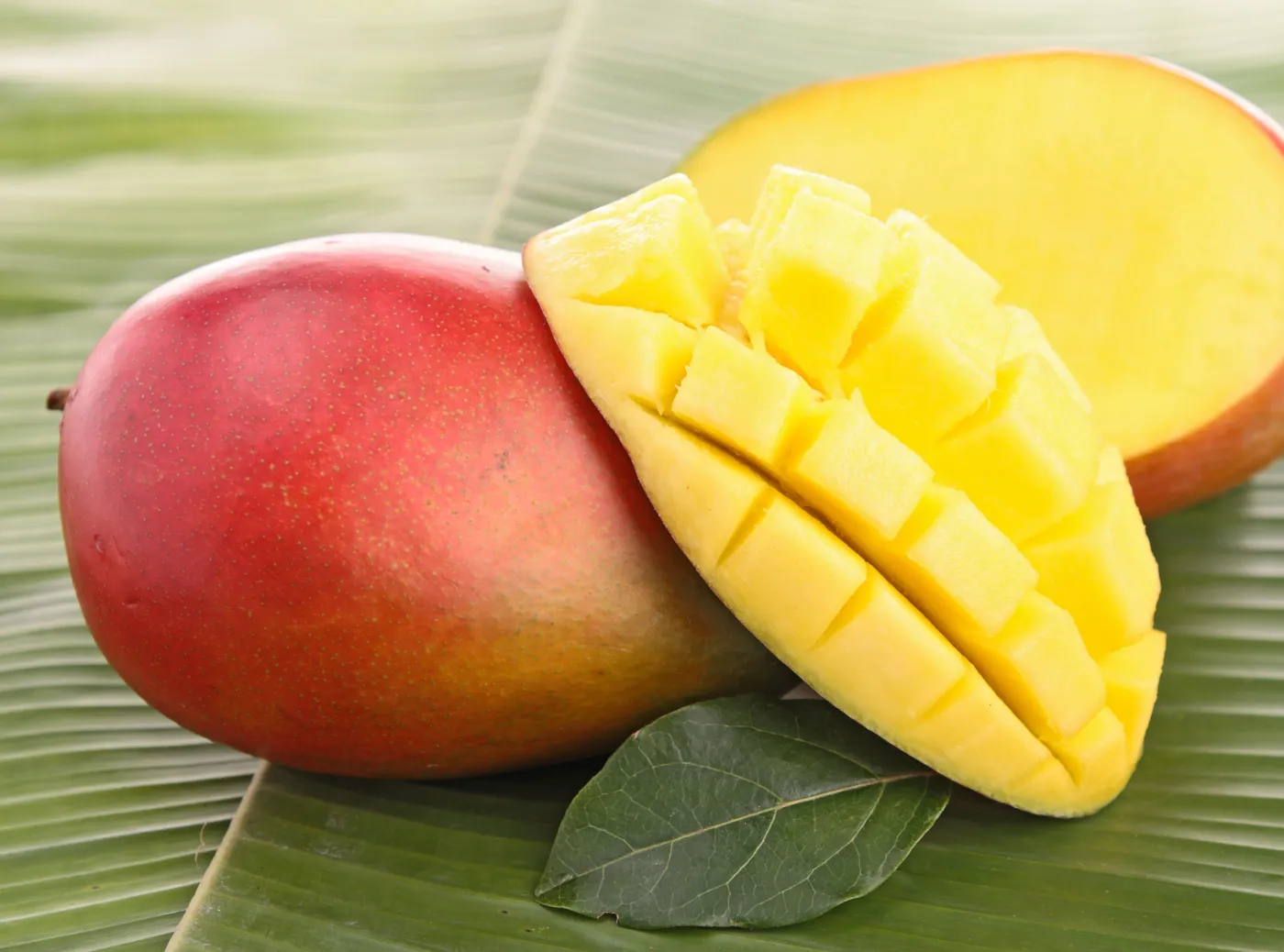 Mango