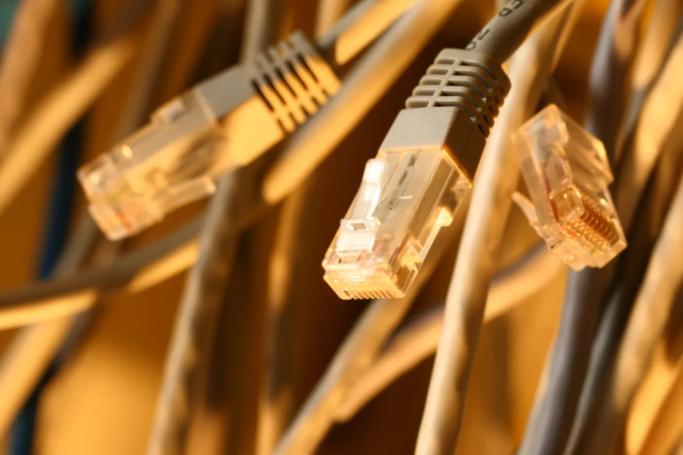 "Nie jestem zwolennikiem teorii spiskowych". Szef klubu PO o zeznaniach kelnerów