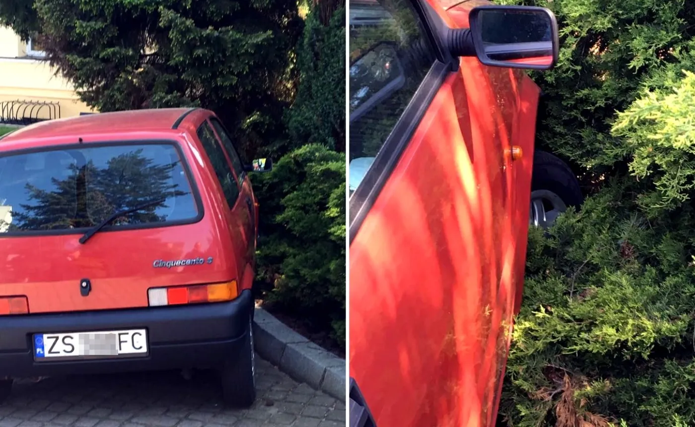 Poseł PiS niszczy sejmową zieleń? Nitras publikuje zdjęcia czerwonego fiata cinquecento