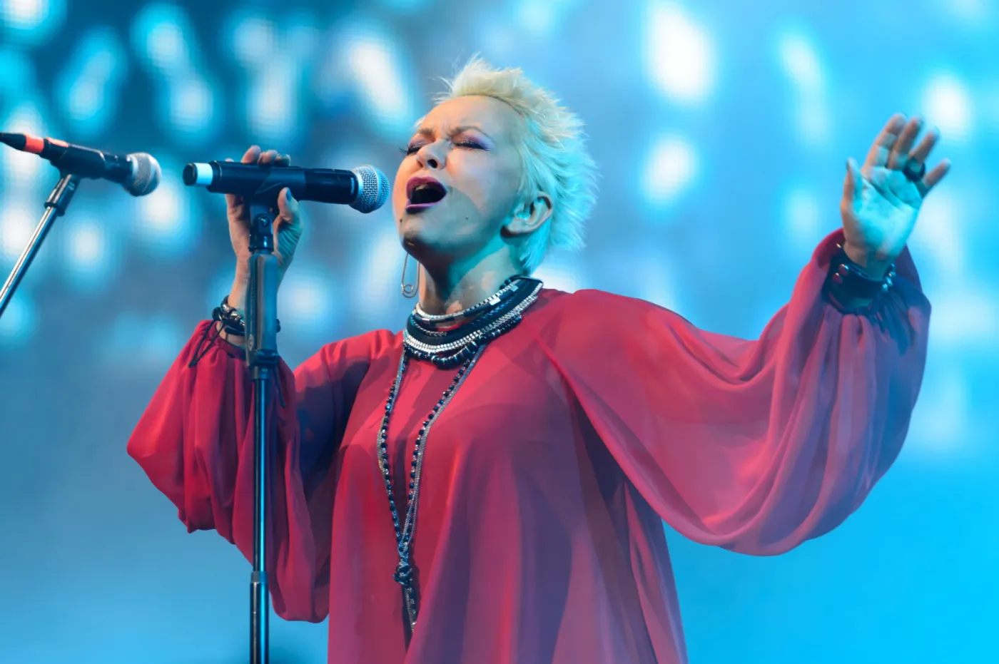 10295405-malgorzata-ostrowska-na-koncercie.jpg