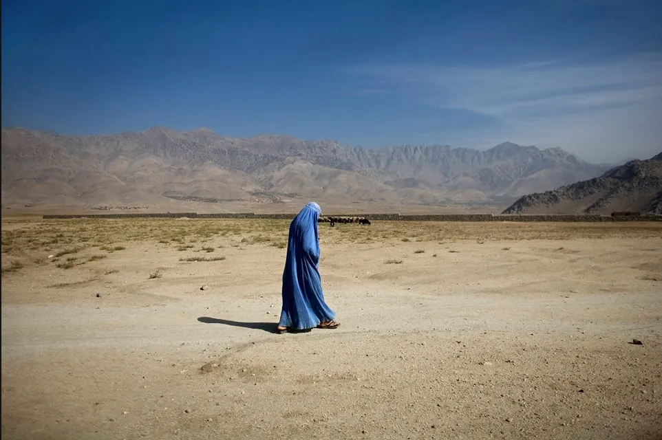 Pomysł na prezent? Ponad 30 fotografów w weekend "sprzedaje się" w Warszawie