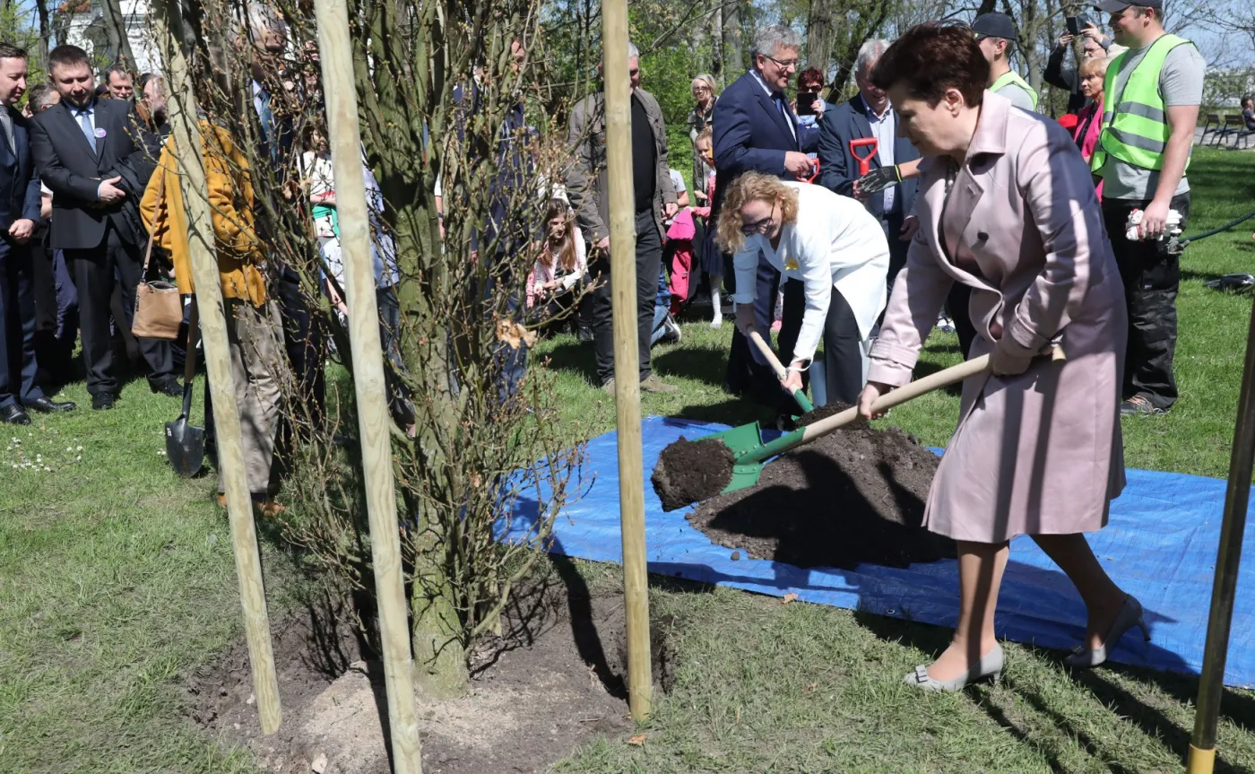 10913805-prezydent-warszawy-w-parku-tadeusza.jpg
