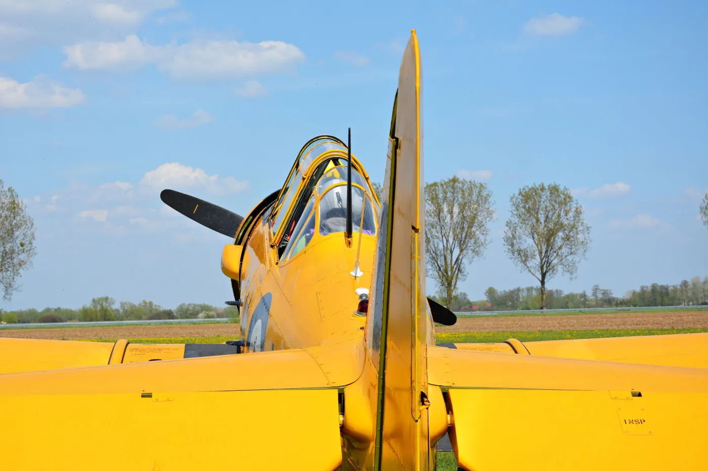 12301370-harvard-samolot-z-czasow-ii-wojne.jpg