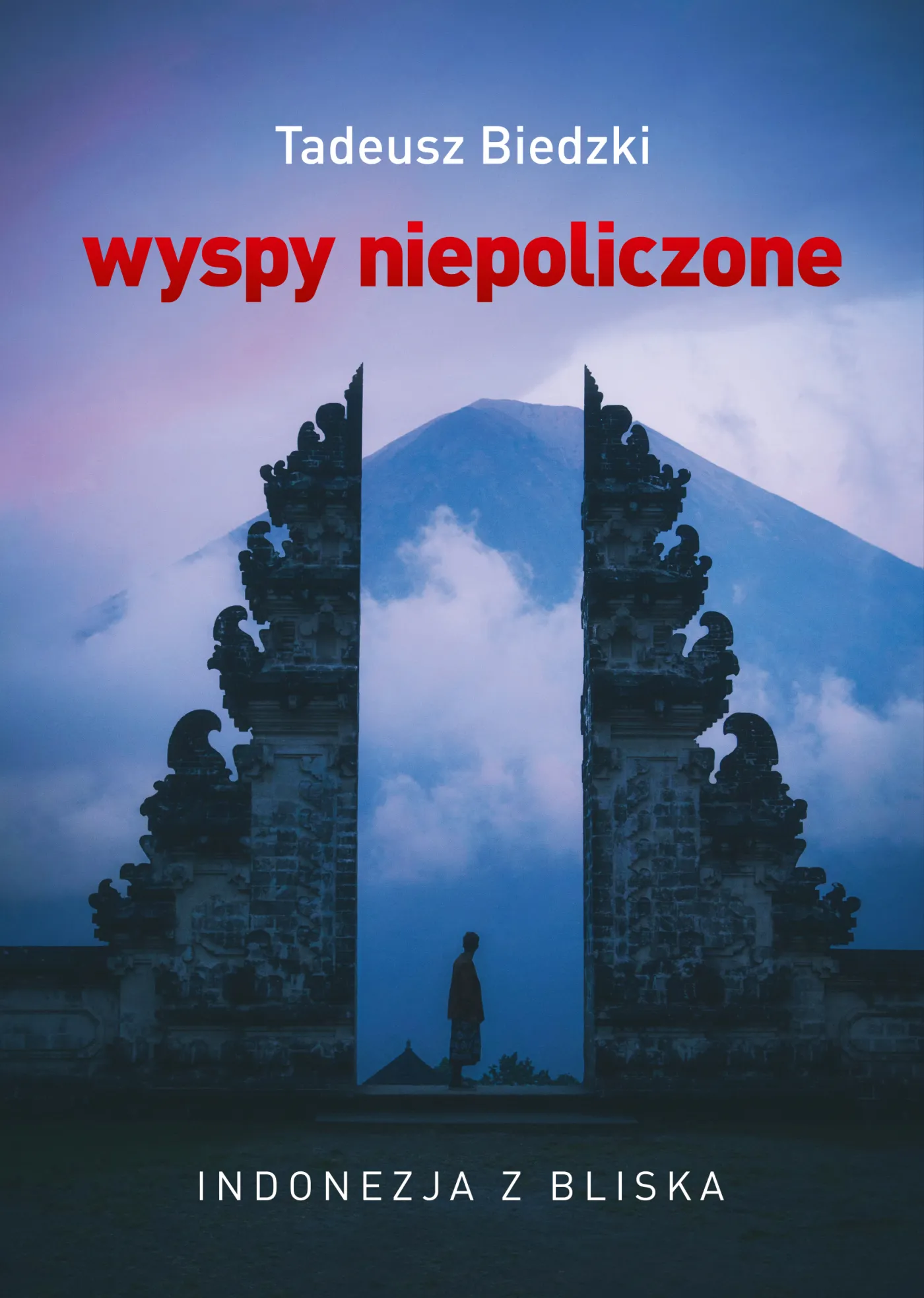 12380758-okladka-ksiazki-wyspy-niedokonczone.jpg