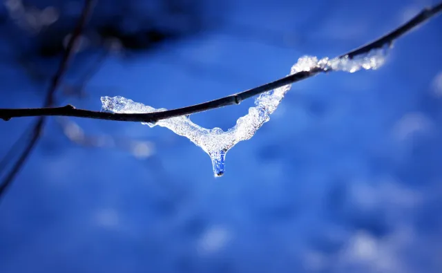 Idzie wiosna! Duże ocieplenie pod koniec stycznia [PROGNOZA]