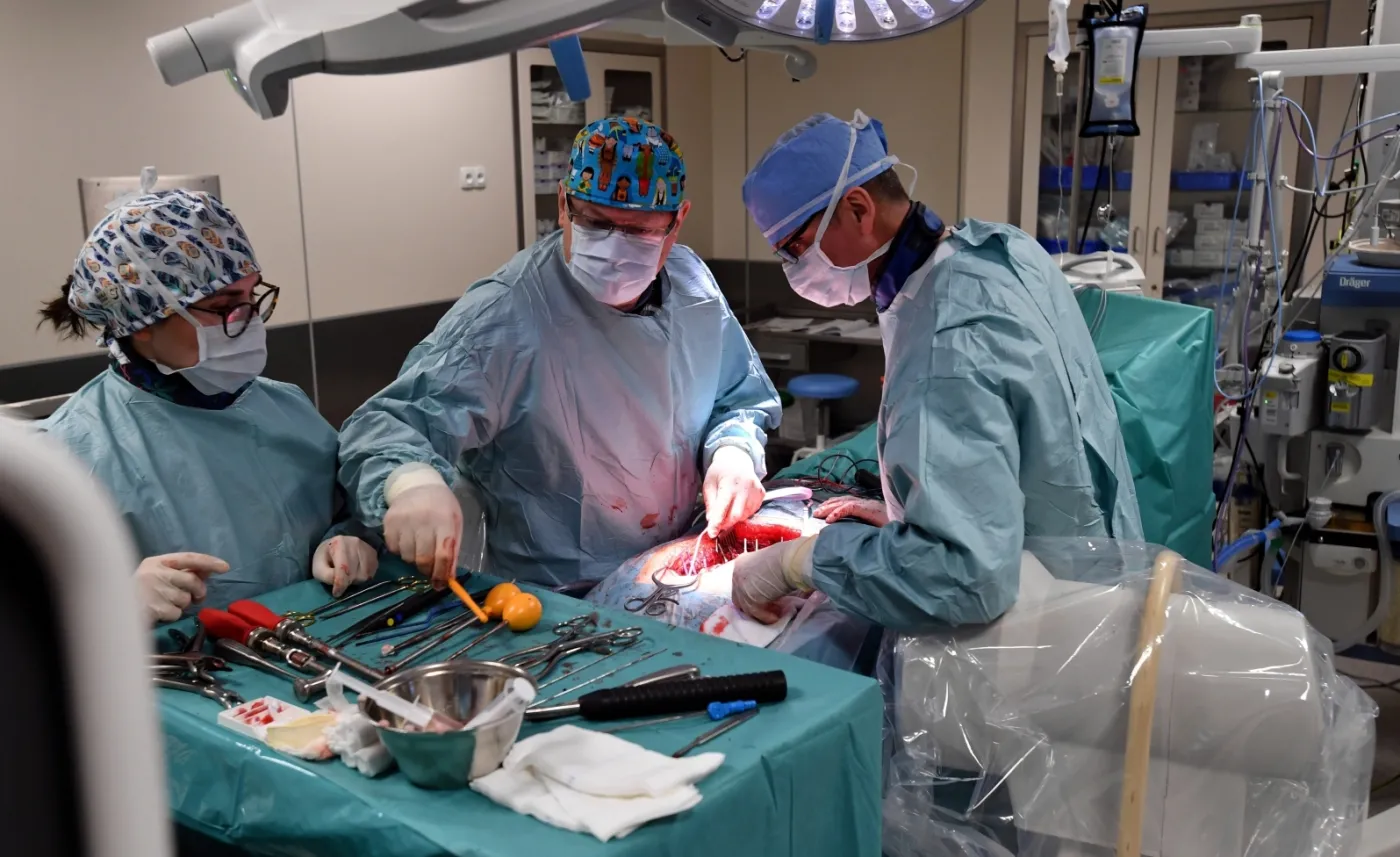 12143151-skomplikowana-operacja-kregoslupa.jpg