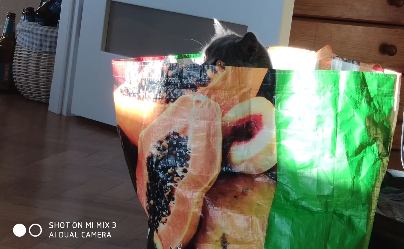 Zdjęcie wykonane smartfonem Xiaomi Mi Mix 3