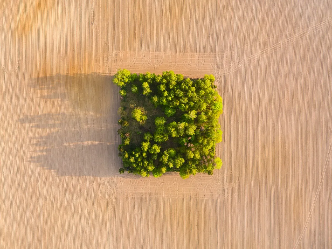 "Polska górą!" / fot. Wojciech Radwański