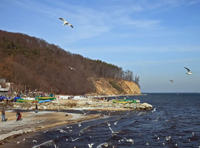 Uwaga, znowu sinice! Już pięć kąpielisk nad Zatoką Gdańską zamkniętych
