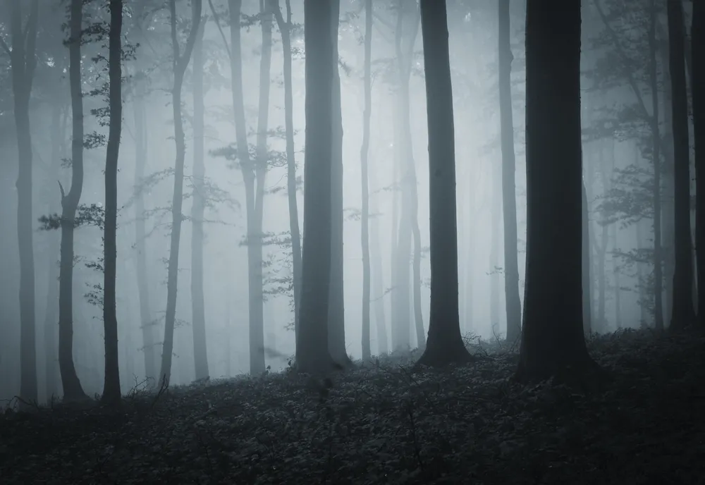 Uwaga! Gęsta mgła w górach. Widoczność na 10 metrów