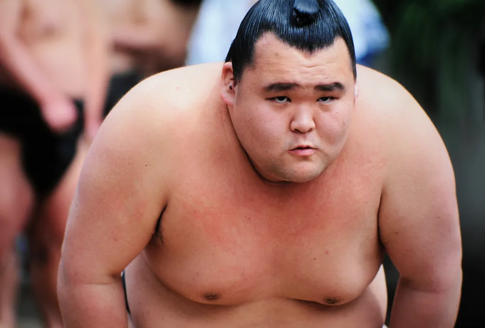 sumo
