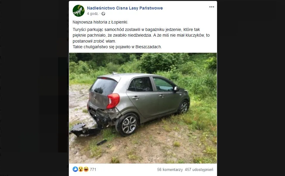 Niedźwiedź szukał jedzenia i zdemolował samochód. "Nie miał kluczyków, to postanowił zrobić włam"