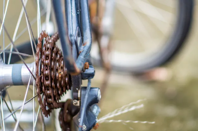 Słoweński kolarz Marko Baloh pobił rekord świata na 1000 km