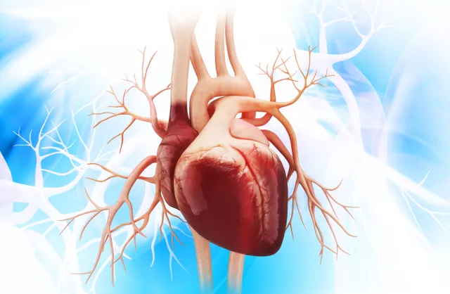 Łagodny COVID-19 nie powoduje trwałego uszkodzenia serca