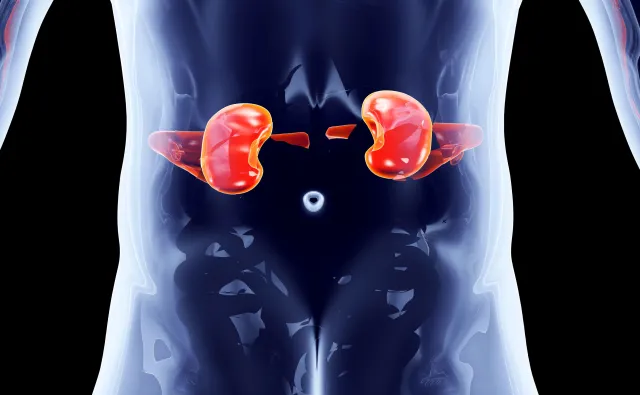 Są nowe, skuteczniejsze leki na raka nerki