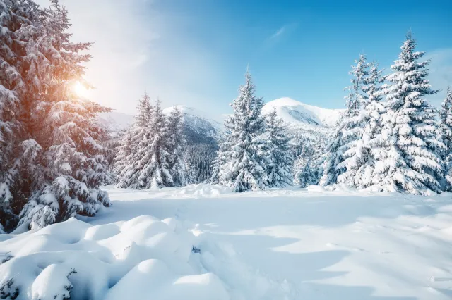 "Zima będzie łaskawa i pozwoli zaoszczędzić na ogrzewaniu". PROGNOZA IMGW