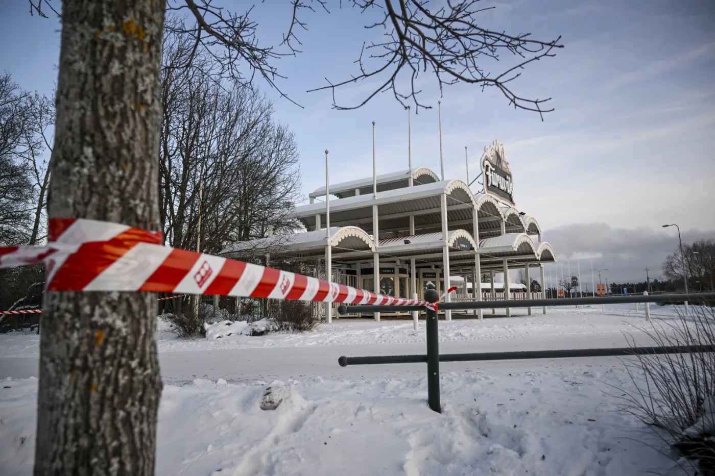 Ucieczka szympansów z zoo w Szwecji. Obława zakończona, oto jej skutki...