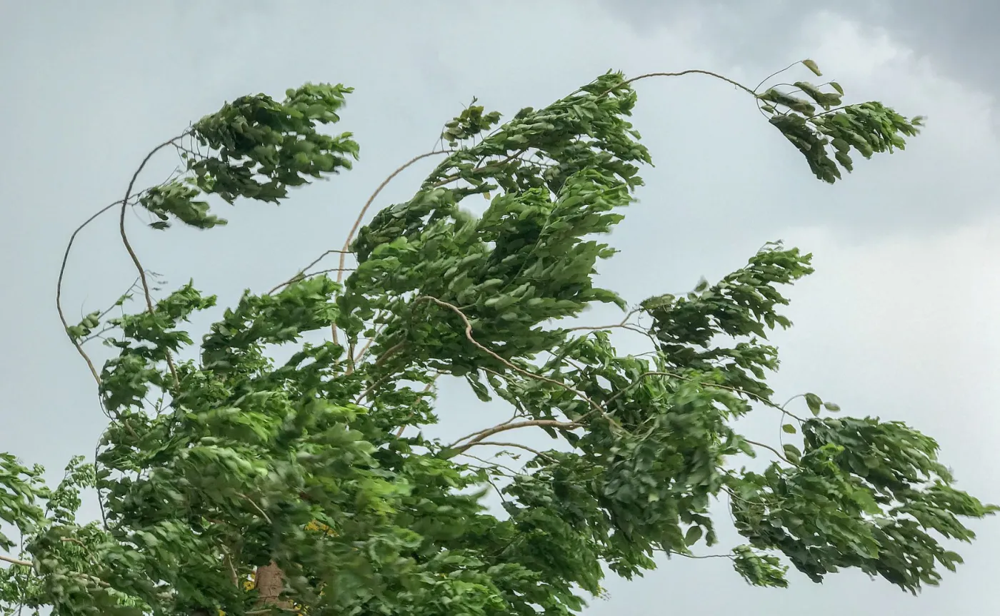 Kiedy będzie cieplej? Za jednym chłodnym frontem nadciąga kolejny [PROGNOZA POGODY]